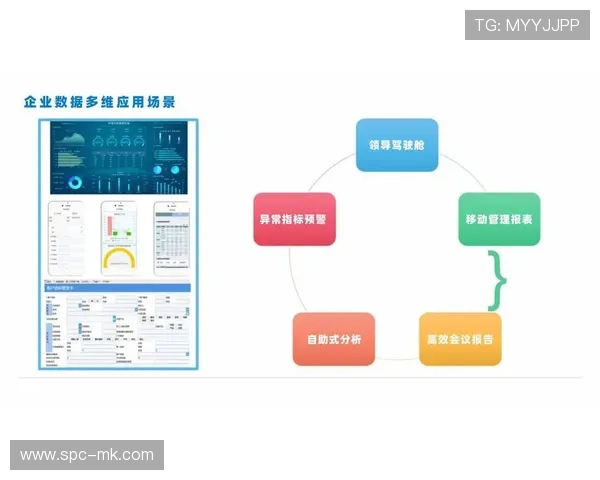 行业机制注重实时数据分析,支持快速决策 行业机制注重实时数据分析,支持快速决策